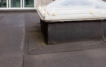 disadvantages of West Edge flat roofs