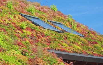 West Edge living roof systems