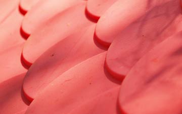 West Edge plastic roof costs