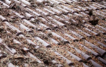 West Edge roof cleaning companies