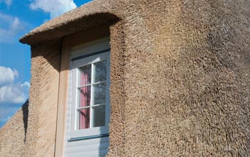 West Edge thatch roof disadvantages