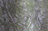 West Edge fibreglass roof work