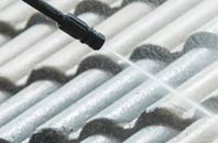 rated West Edge roof cleaning companies