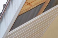 rated West Edge soffit repair companies